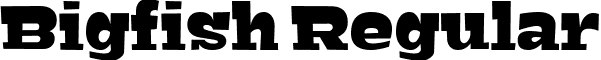 Bigfish Regular font - Bigfish.ttf