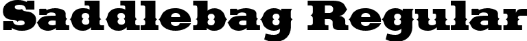 Saddlebag Regular font - Saddlebag.ttf