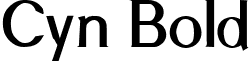 Cyn Bold font - new_2.ttf