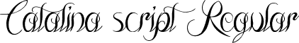 Catalina script Regular font - The_Lodger_Rang.ttf