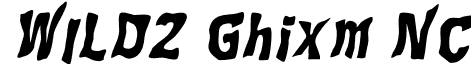 WILD2 Ghixm NC font - Wil2ghbi.ttf