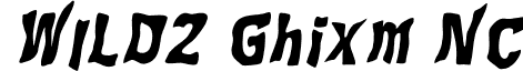 WILD2 Ghixm NC font - Wil2ghbiNC.otf