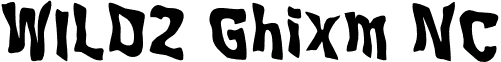 WILD2 Ghixm NC font - Wil2ghbdNC.otf