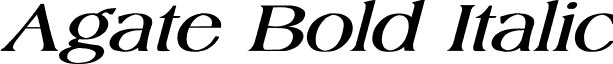 Agate Bold Italic font - AgateBoldItalic.ttf