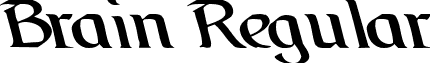 Brain Regular font - BrainRegularttstd.ttf