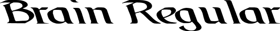 Brain Regular font - BrainRegularttnorm.ttf