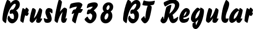 Brush738 BT Regular font - BRUS738N.ttf