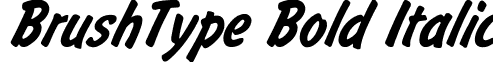 BrushType Bold Italic font - BRUSHTY0.ttf