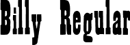 Billy Regular font - BillyRegularttnorm.ttf