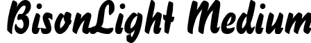 BisonLight Medium font - bisonlight.ttf