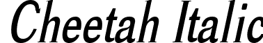 Cheetah Italic font - CheetahItalic.ttf