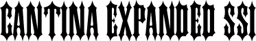 Cantina Expanded SSi font - CantinaExpandedSSiSemiExpanded.ttf