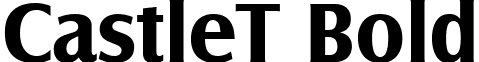 CastleT Bold font - CastleTBold.ttf
