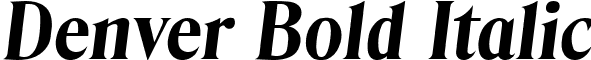 Denver Bold Italic font - DenverBoldItalic.ttf