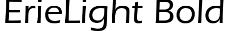 ErieLight Bold font - ErieLightBold.ttf