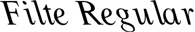 Filte Regular font - filte.ttf