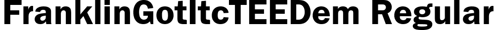 FranklinGotItcTEEDem Regular font - FE08015T.ttf