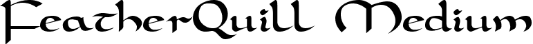 FeatherQuill Medium font - FeatherQuillMedium.ttf