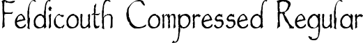 Feldicouth Compressed Regular font - FeldicouthCompressed.ttf