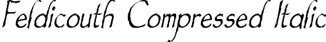 Feldicouth Compressed Italic font - FeldicouthCompressedItalic.ttf