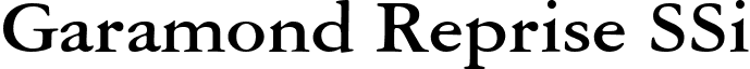 Garamond Reprise SSi font - GaramondRepriseSSiBold.ttf