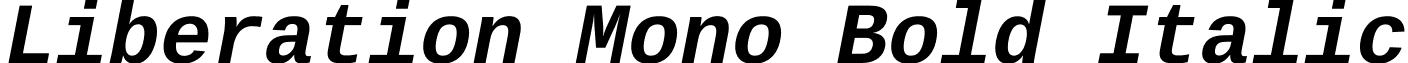 Liberation Mono Bold Italic font - Liberation Mono Bold Italic.ttf