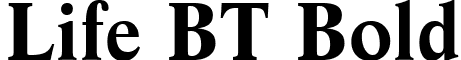 Life BT Bold font - lifeb.ttf