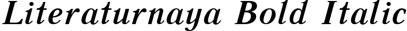 Literaturnaya Bold Italic font - LITERBIT.ttf