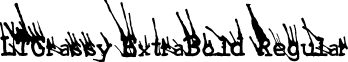 LTGrassy ExtraBold Regular font - LinotypeGrassyExtraBold.ttf