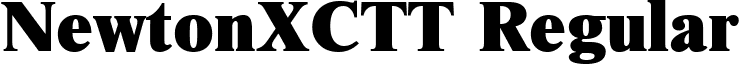 NewtonXCTT Regular font - NWX95__C.ttf