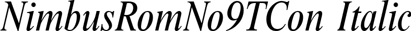 NimbusRomNo9TCon Italic font - NimbusRomNo9TConItalic.ttf