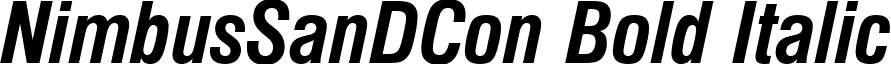 NimbusSanDCon Bold Italic font - NimbusSanDConBoldItalic.ttf