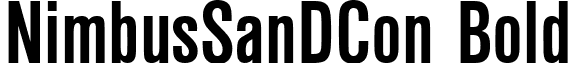 NimbusSanDCon Bold font - NimbusSanDConBold.ttf