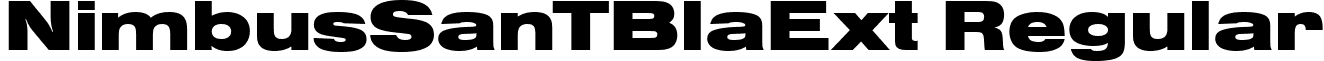 NimbusSanTBlaExt Regular font - NimbusSanTBlaExt.ttf