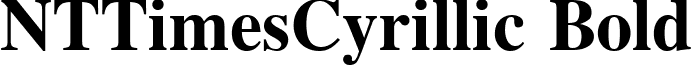 NTTimesCyrillic Bold font - NTTMB__0.ttf