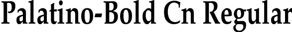 Palatino-Bold Cn Regular font - palatin1.ttf