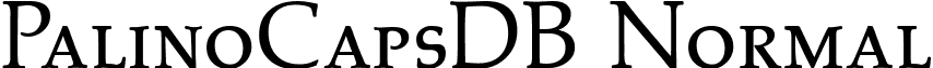 PalinoCapsDB Normal font - PalinoCapsDBNormal.ttf