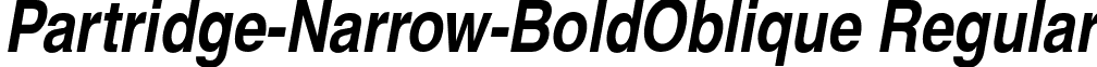 Partridge-Narrow-BoldOblique Regular font - partrnbo.ttf