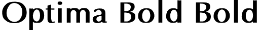 Optima Bold Bold font - optim.ttf