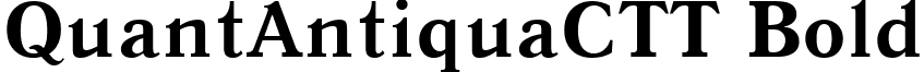 QuantAntiquaCTT Bold font - QNA65__C.ttf