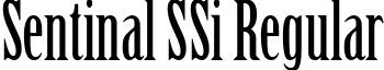 Sentinal SSi Regular font - SentinalSSi.ttf