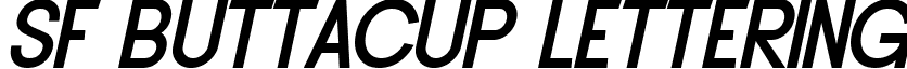 SF Buttacup Lettering font - SFButtacupLetteringBoldOblique.ttf