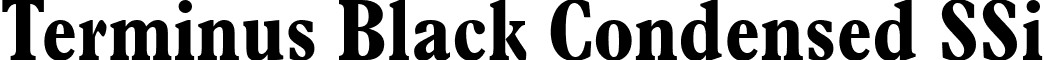 Terminus Black Condensed SSi font - TerminusBlackCondensedSSiBoldCondensed.ttf