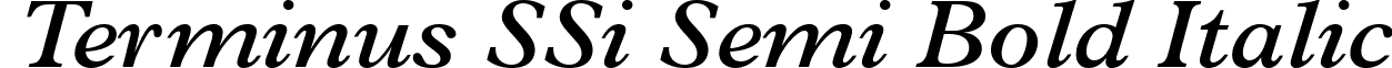 Terminus SSi Semi Bold Italic font - TerminusSSiSemiBoldItalic.ttf