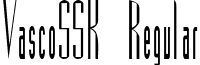 VascoSSK Regular font - VascoSSK.ttf