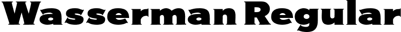 Wasserman Regular font - Wasserman.ttf