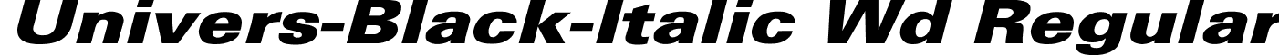 Univers-Black-Italic Wd Regular font - unives.ttf