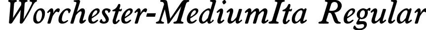 Worchester-MediumIta Regular font - Worchester-MediumIta.ttf