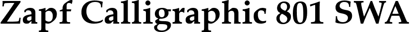Zapf Calligraphic 801 SWA font - ZapfCalligraphic801BoldSWA.ttf