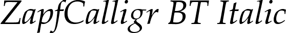 ZapfCalligr BT Italic font - ZapC801I.ttf